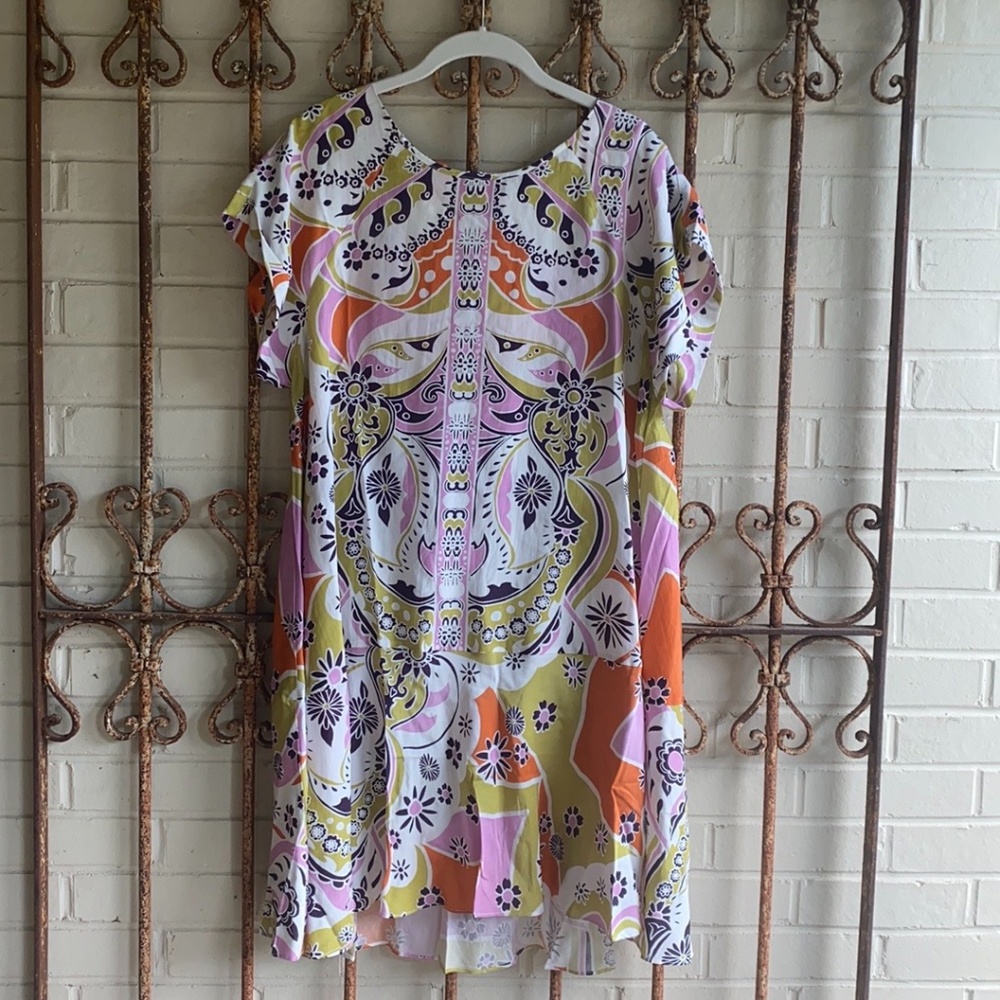 Free People strawberry fields Mini dress